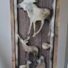 Armoire de chasse