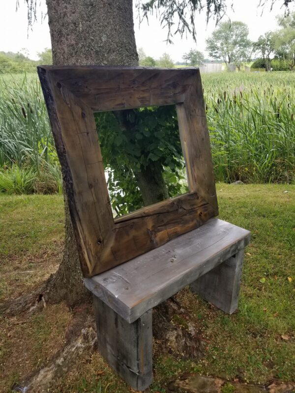 Miroir le roi des forêts.